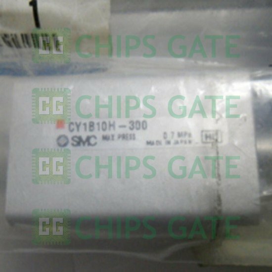 CY1B10H300