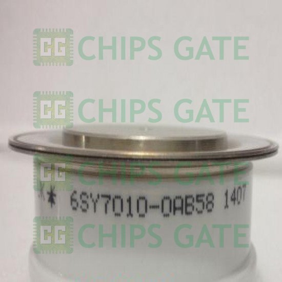 6SY70100AB58