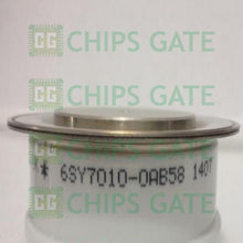 6SY70100AB58