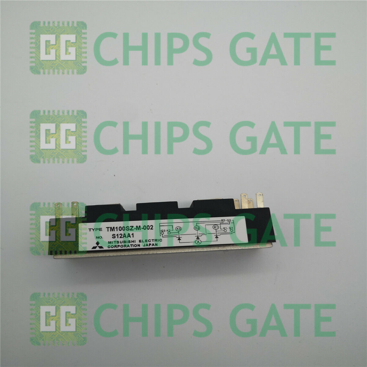TM100SZM002