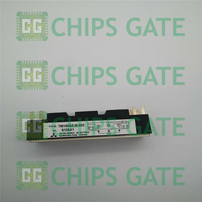 TM100SZM002