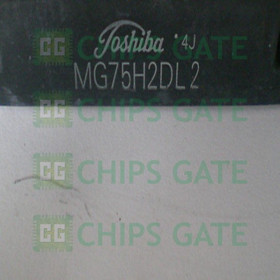Toshiba MG75H2DL2
