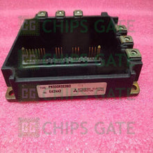 PM300RSE060