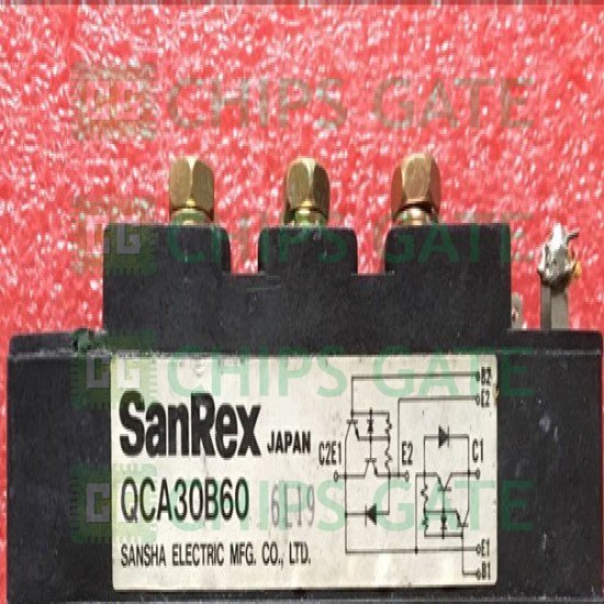 Sanrex QCA30B60
