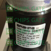 Brahma EG30*L.2*GMO