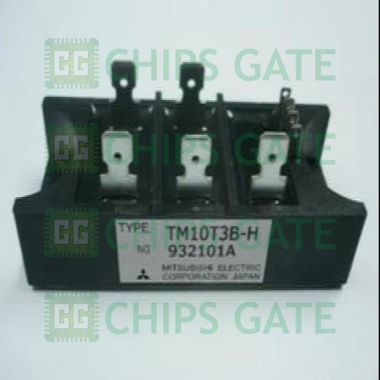 TM10T3BM