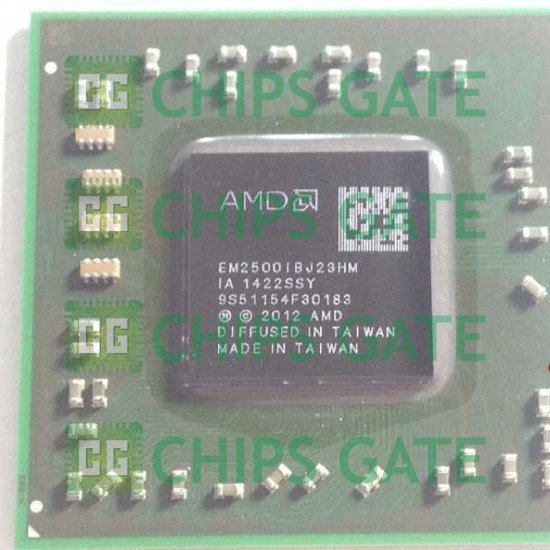 Amd EM2500IBJ23HM