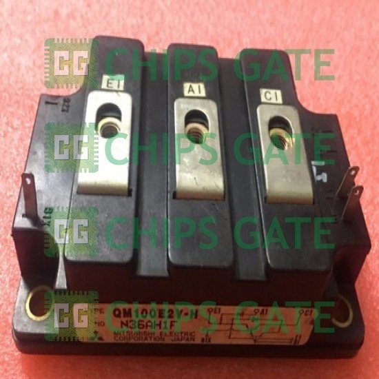 QM100E2YH