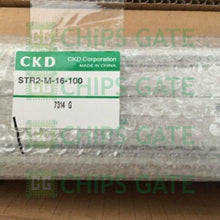 Ckd STR2-M-16-100