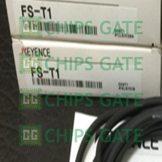 FST1
