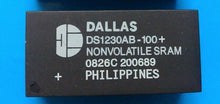 Dallas DS1230AB-100