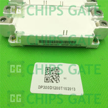 DP300D1200T102013