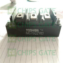 Toshiba MG75M2YK1
