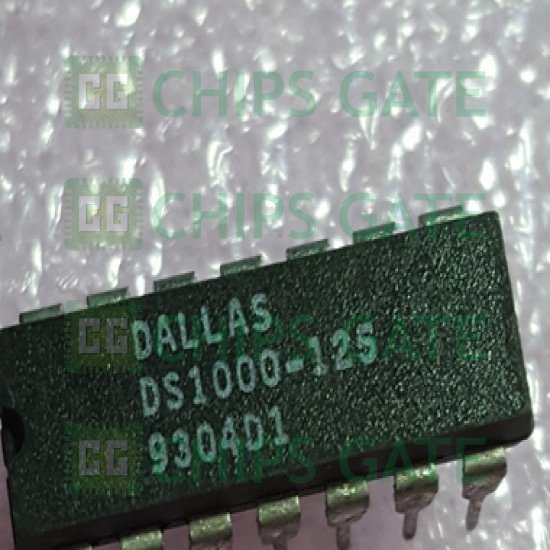 Dallas DS1000-125