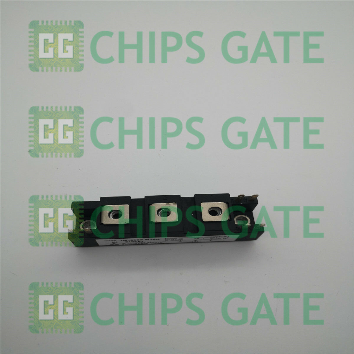 TM100SZM002