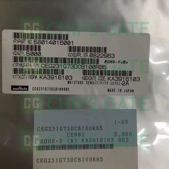 Murata Power CEG231G73DCB100RB5