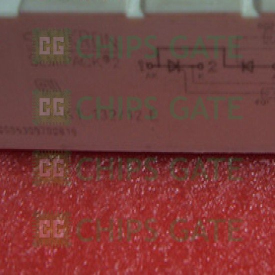 SKKT13212E