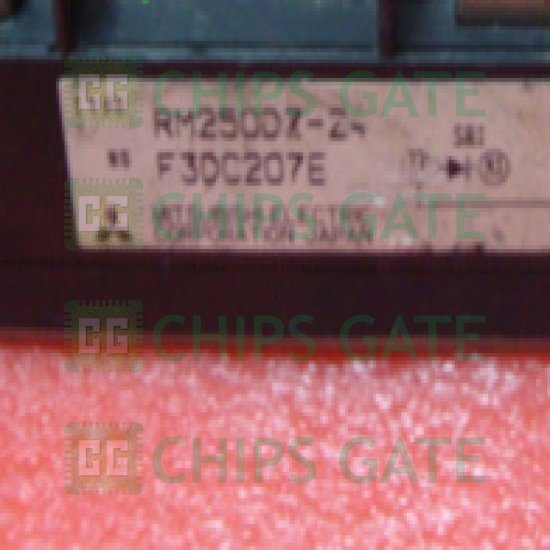 RM250DZ24
