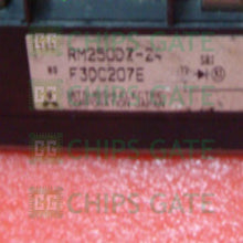 RM250DZ24