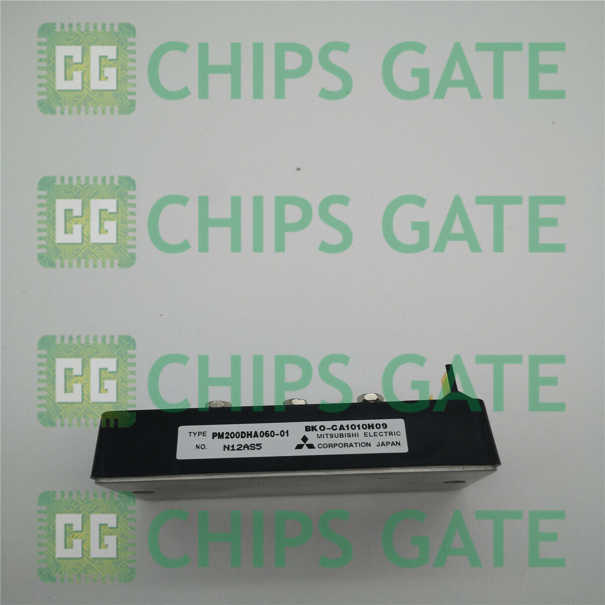 PM200DHA06001