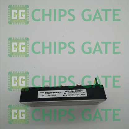 PM200DHA06001