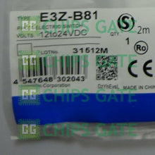 E3ZB81