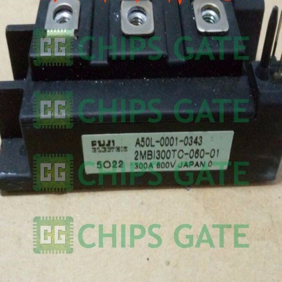 2MBI300TC06001
