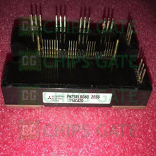 PM75RLB060