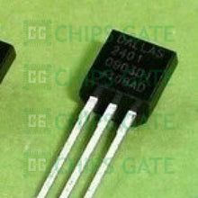 Silicon DS2401