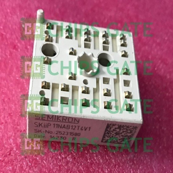 SKIIP11NAB12T4V1