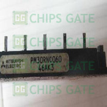 PM30RNC060