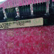 PM15CEE060
