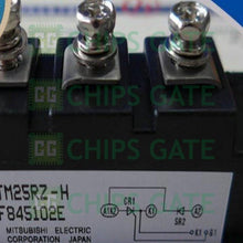 TM25RZH