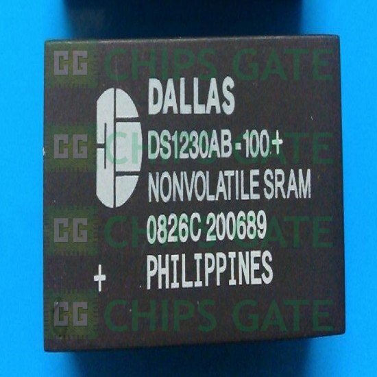 Dallas DS1230AB-100
