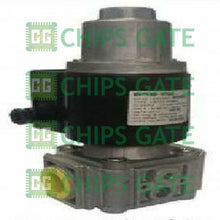 Brahma EG12*S*GMO