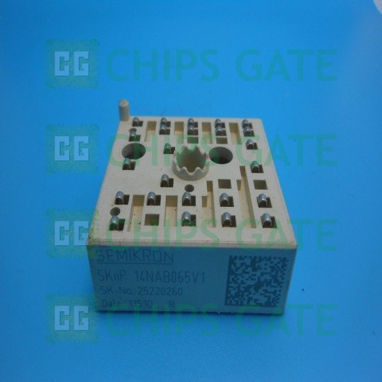 SKIIP14NAB065V1