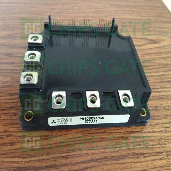 PM100RSA060
