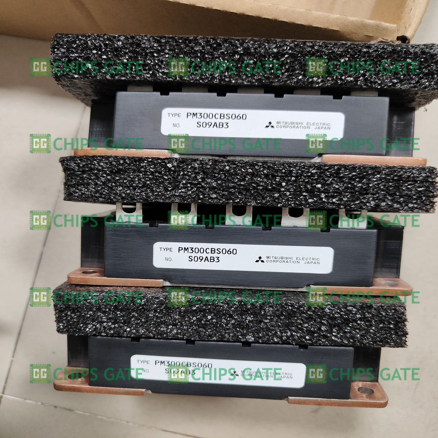 PM300CBS060