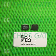 International Rectifier CS42448-DQZ