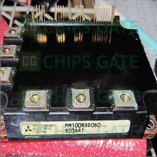 PM100RSD060