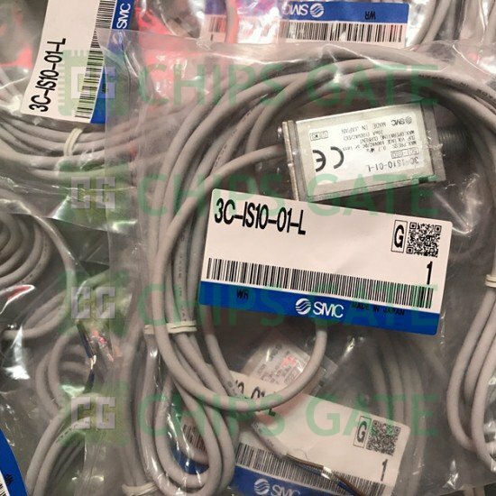 3CIS1001L