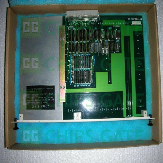 Yokogawa RM81*A