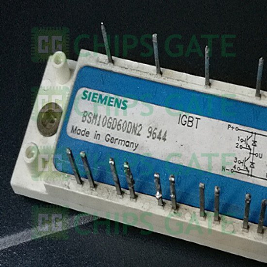 BSM10GD60DN2