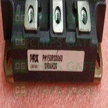 PM150RSD060