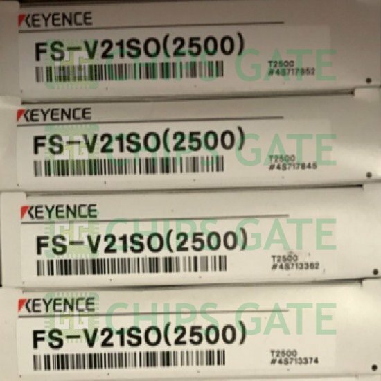 FSV21S0