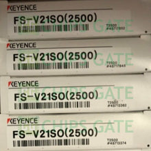 FSV21S0
