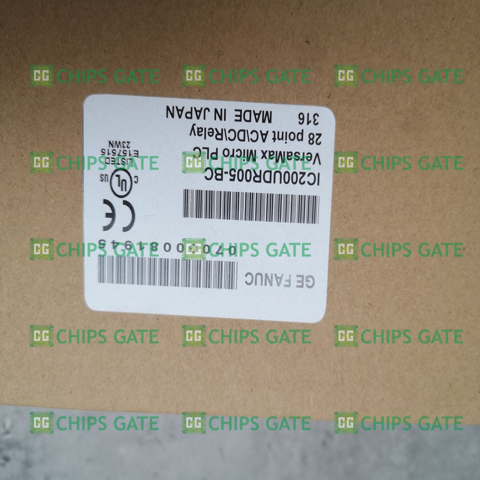 IC200UDR005