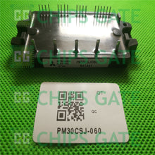 PM30CSJ060