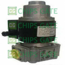 Brahma EG12*LP*GMO