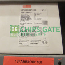PSR3060011
